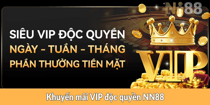 Khuyến mãi VIP độc quyền NN88 Khuyến mãi VIP độc quyền NN88