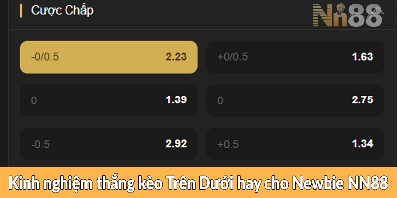 Kinh nghiệm thắng kèo Trên Dưới hay cho Newbie NN88 Kinh nghiệm thắng kèo Trên Dưới hay cho Newbie NN88
