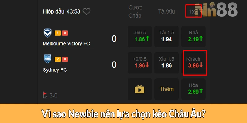 Vì sao Newbie nên lựa chọn kèo Châu Âu? Vì sao Newbie nên lựa chọn kèo Châu Âu?